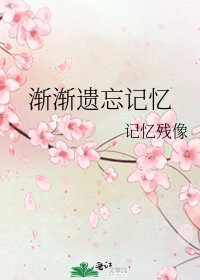 渐渐遗忘记忆