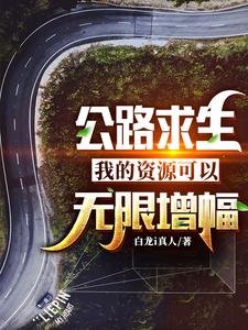 公路求生:我的资源可以无限增幅