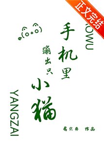 手機裡蹦出只小貓