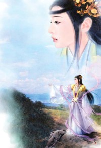 阴阳厨师